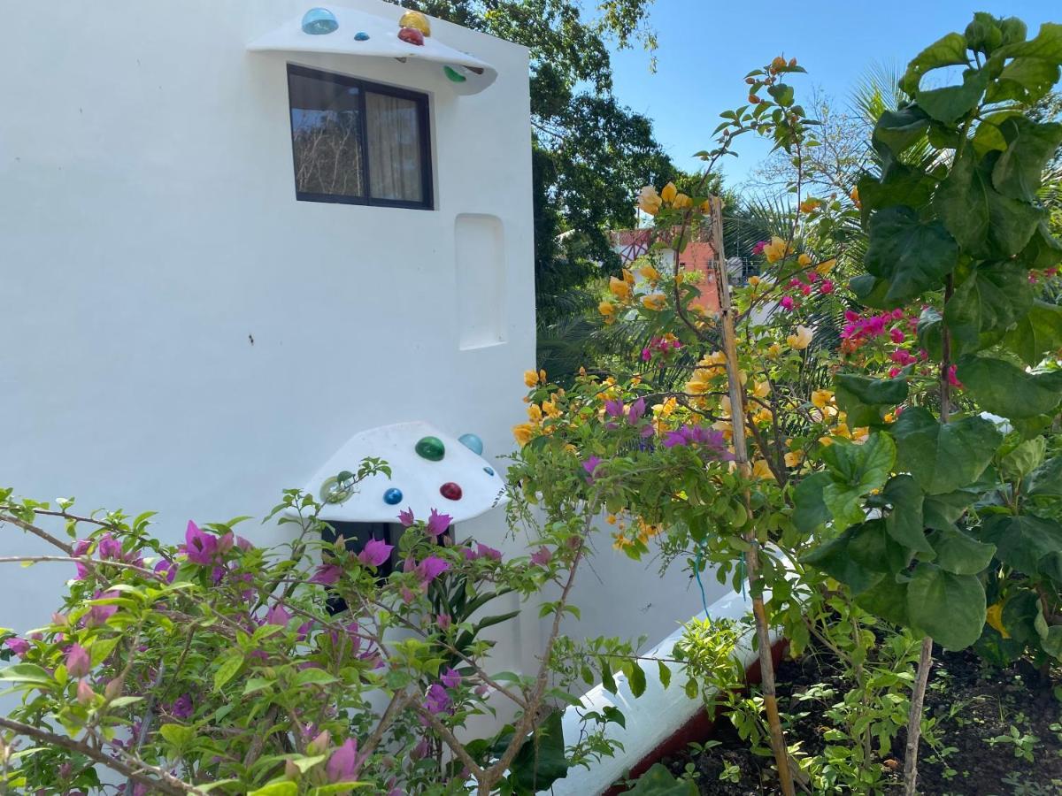 Maison Bacalar Kültér fotó