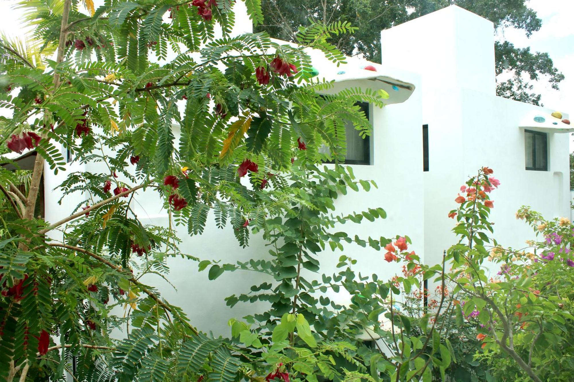 Maison Bacalar Kültér fotó