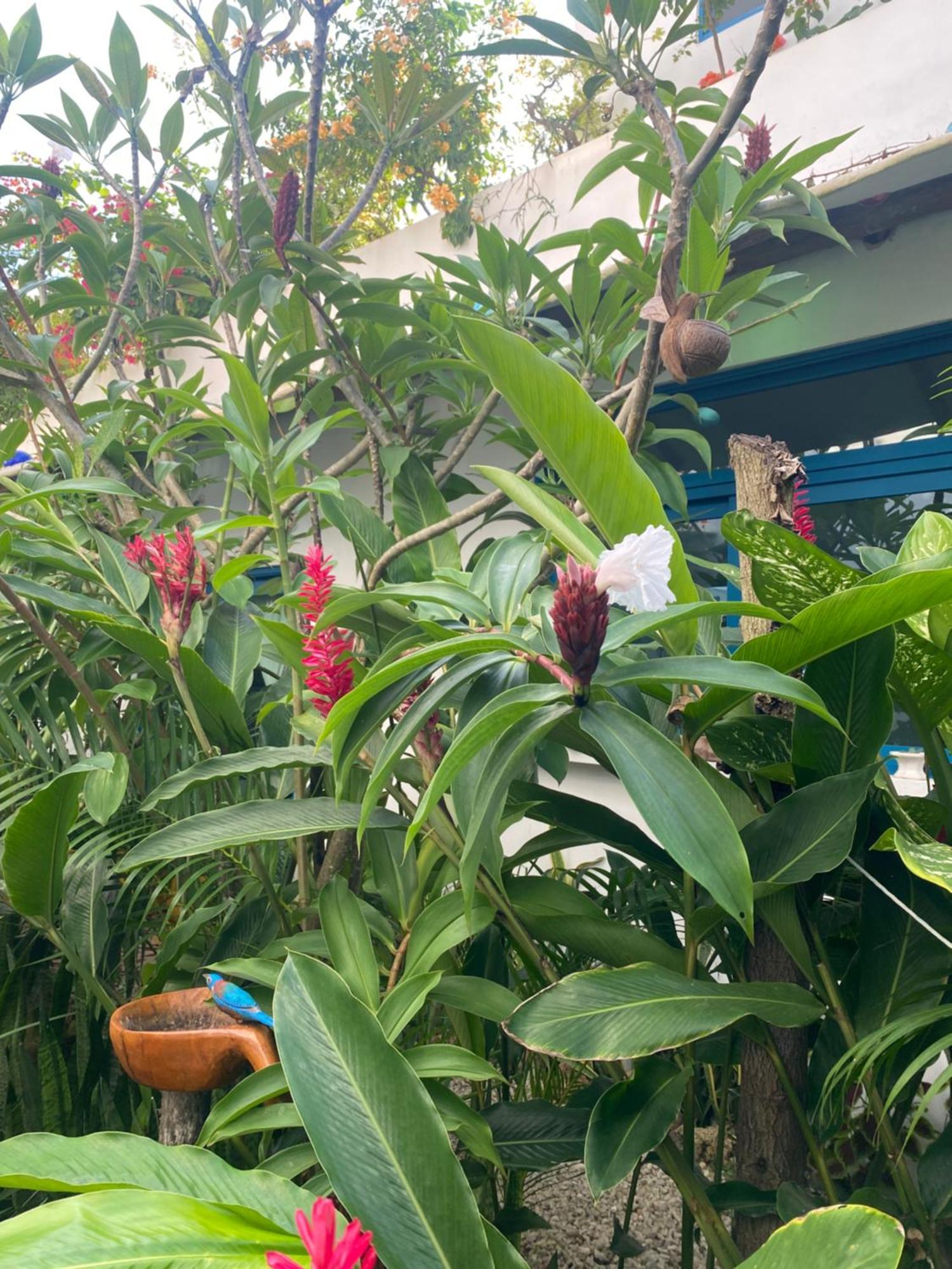 Maison Bacalar Kültér fotó