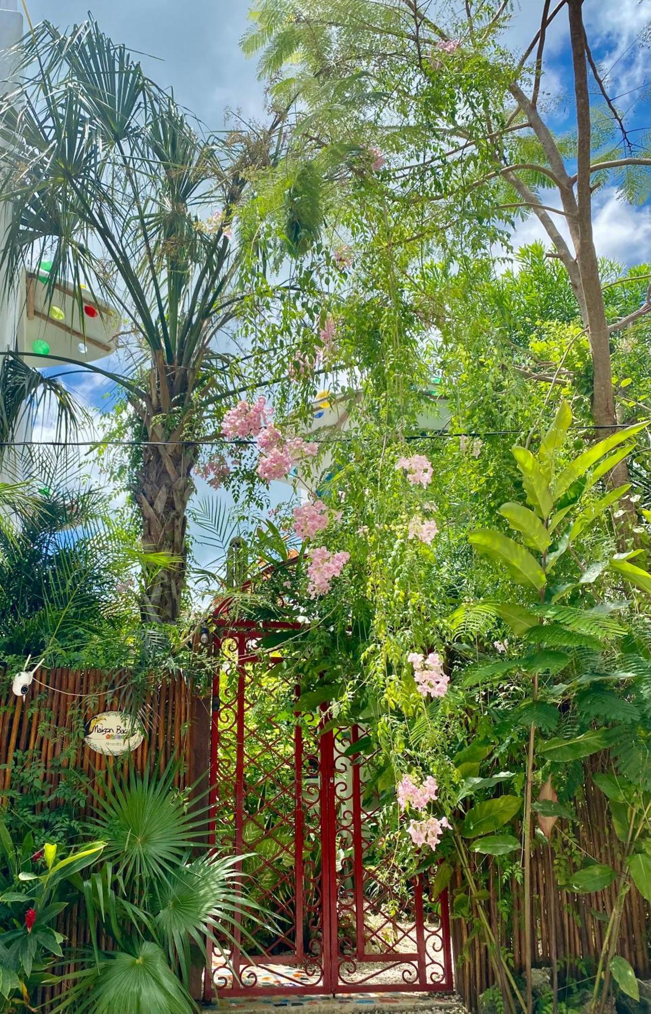 Maison Bacalar Kültér fotó